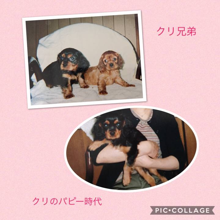 6025aad4 db61 49c4 be52 ef7134d272a1 1531814921145