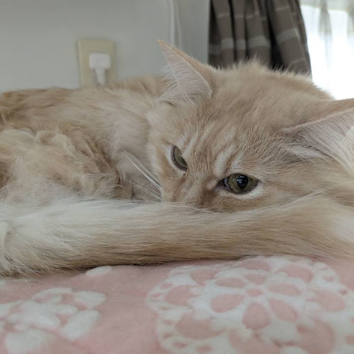 6025d310 42b9 4532 9adc a57c98b61bc4 1768447040771