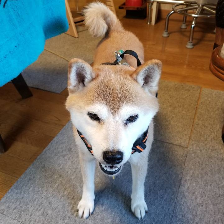 6025f5c1 9dcc 4703 9d42 664287af215b 1597133076335