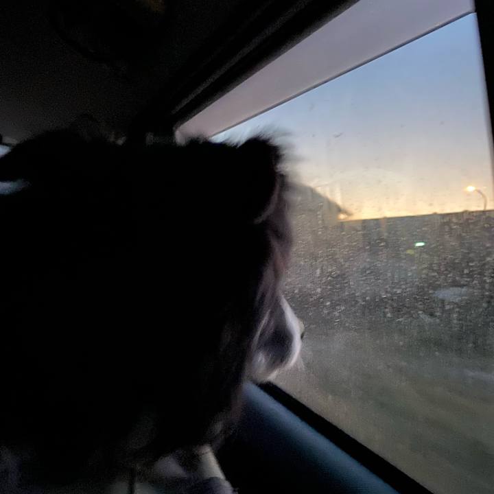 60266257 111a 4597 ae5c 16216868fcc5 1673388188350