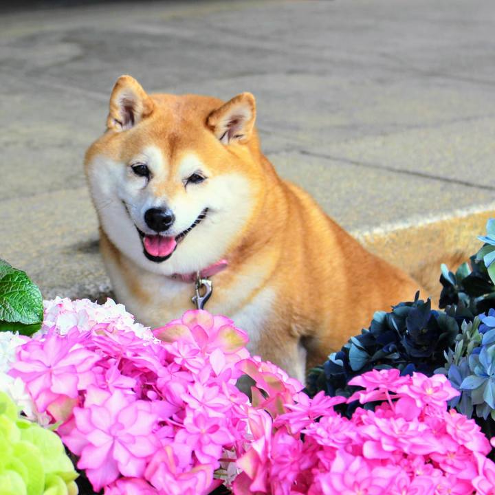 6026b78c 8132 49c6 a86e 051fc988799a 1623480133816