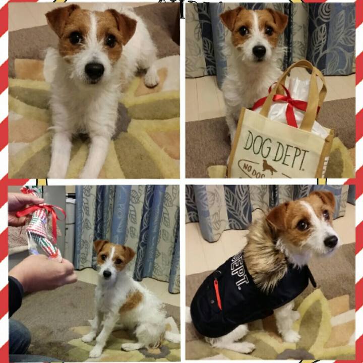 6026baee 3eb5 4351 b60b b39cbdddefcc 1514120481718