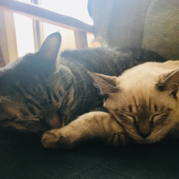 6026dc43 23a8 4e3b aef6 e8cc5ce3165b 1541223895033