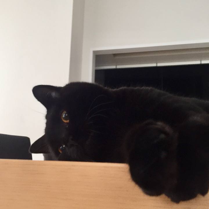 6026ef2c 6131 4460 b026 266d4d3496c8 1565480236481