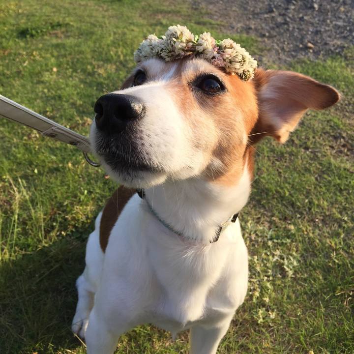 6026f763 b127 4a27 ba28 ed8f68fe3b15 1525569860855