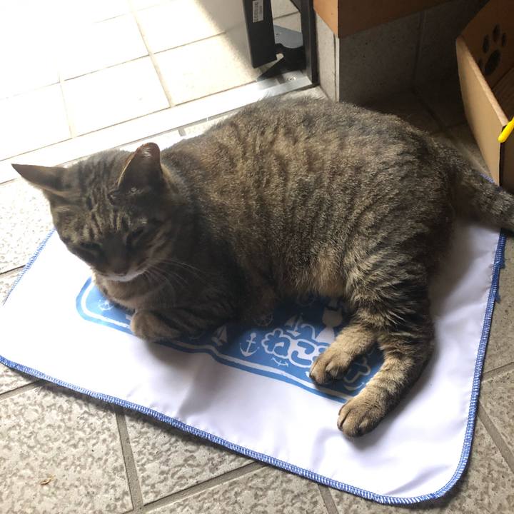 6027102c 10de 4218 b8ae bd53f2fe9aa3 1562378139518