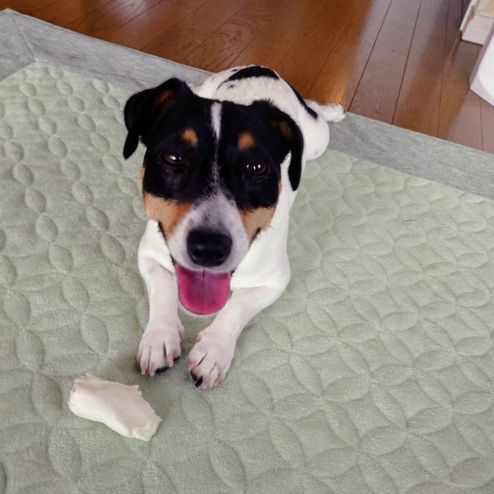 60271c4b 9474 4bd0 9ed1 f8f23e7b1f5e 1591236884160