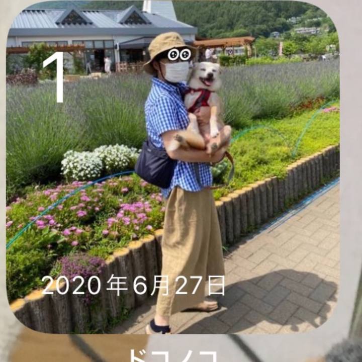 602728ba 1a5d 4d6a b055 785c3ae39b86 1751676247703