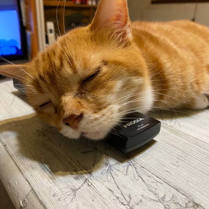 60275a62 8768 4add b45d c9a7b938933e 1627218019835