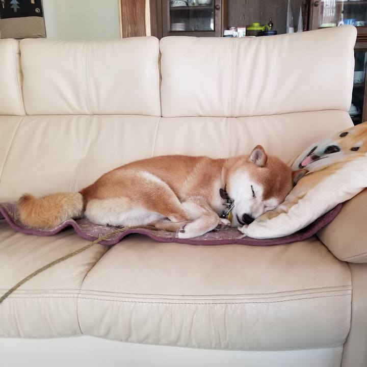 60275b51 7da0 4a30 b90a 9a8e4f676ac9 1627272801393