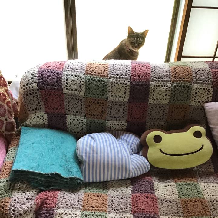 60275c63 e481 44be 9efc bf682aafd1a8 1596439431989