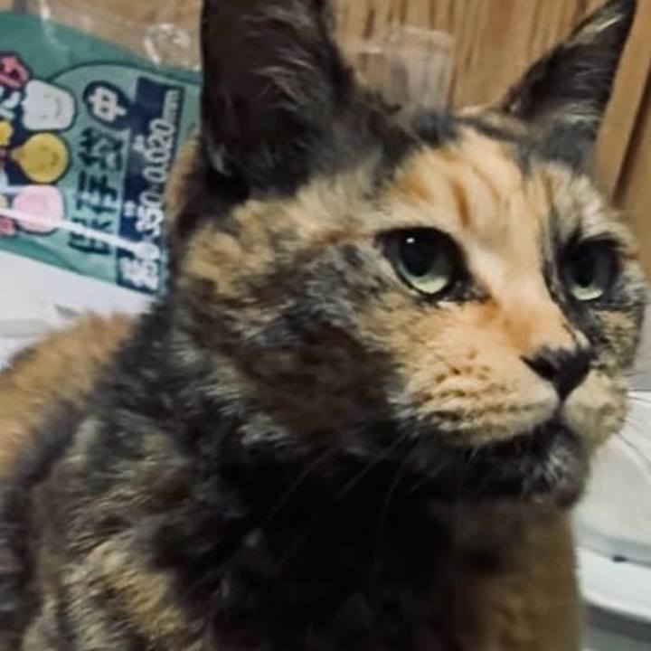 6027c586 6673 465c b9b5 c58d5369af83 1744663098502