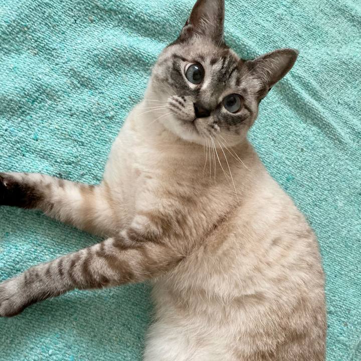 6028278b b95e 4459 aeb0 933a3306cbd8 1684972352102