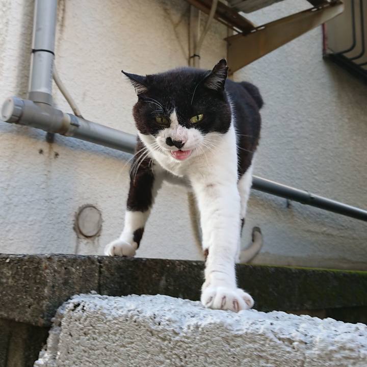 60282893 41e6 4f7c 9104 54aa99c80f67 1658047593915