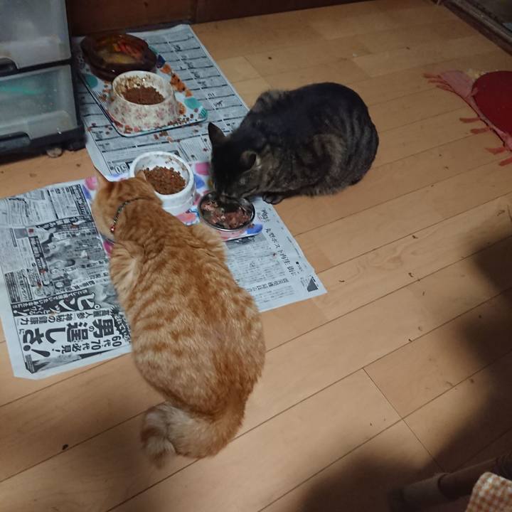 6028344c 8d7b 4fde 9c35 7350f8b22101 1651147424674