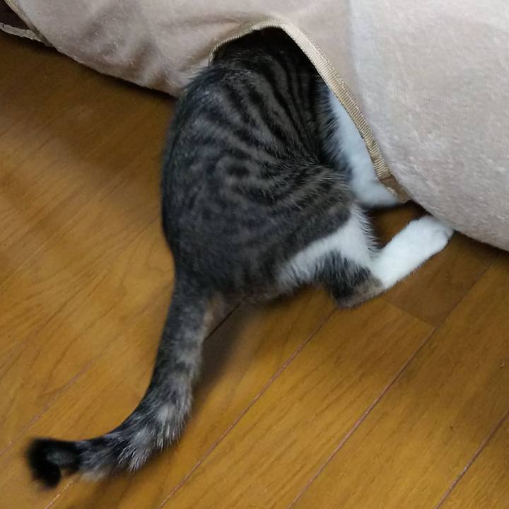 60284251 657e 4157 8dd1 af13e20d8363 1607688101528