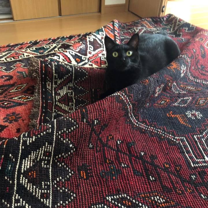 60284719 6051 4c82 8691 d49f3a40aff6 1558241259304