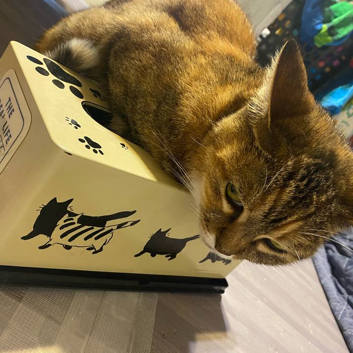 60288886 36d8 4c88 ab35 44b4e75c2241 1625487728383