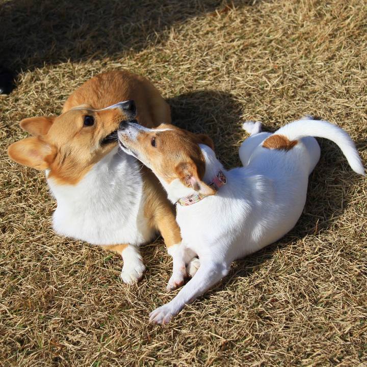 6028f7e9 85f6 41d5 b0b6 302d72e5e47d 1544264793557