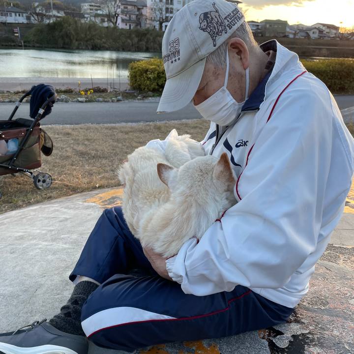 602905c1 3c26 4149 8b5c 31e222a5f33f 1674038452302