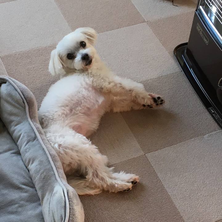 60291311 abe4 435f bb6d 7c62ae4842a4 1580339927935