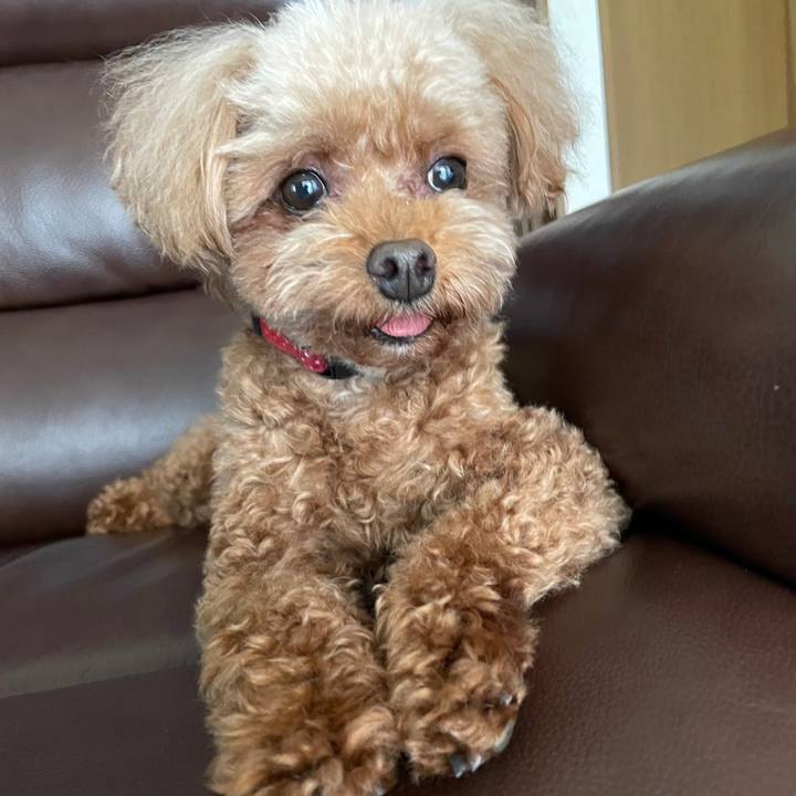 6029293e 28b5 4d37 9d40 bc45909f0745 1682830506951