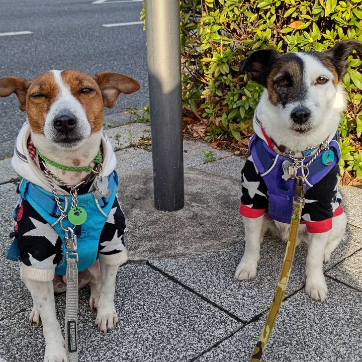 6029295b e7b9 457d 80e6 7ffc931e308a 1648161545920