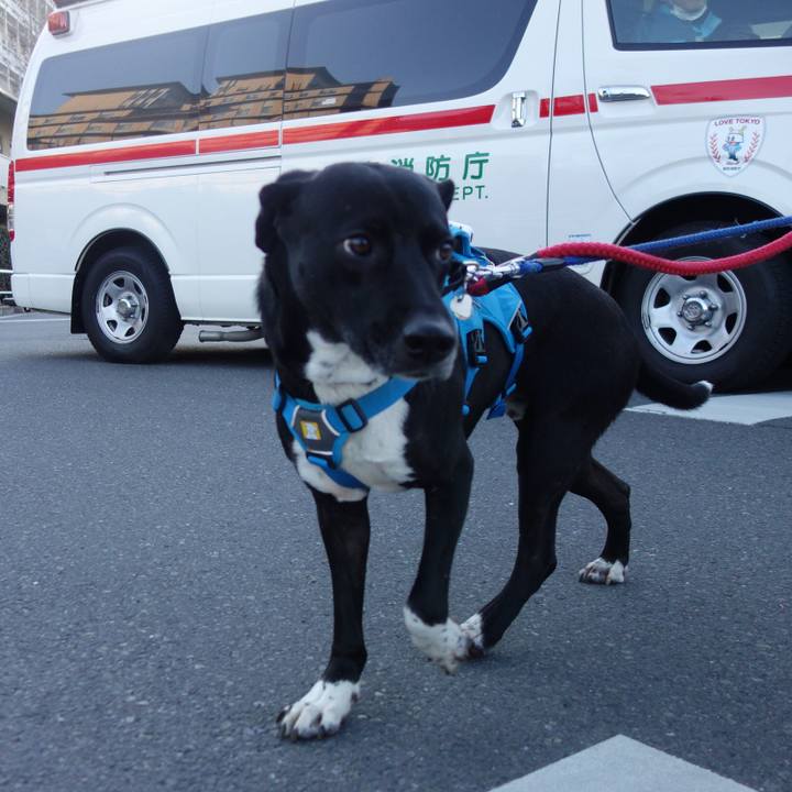 602967de f874 49e9 a95a efd1303f17d9 1612401390794