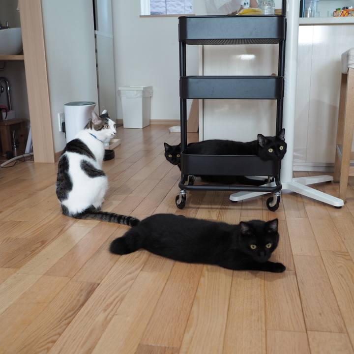 6029775b 02e1 4fff b9e8 1998799f1f32 1536385297187