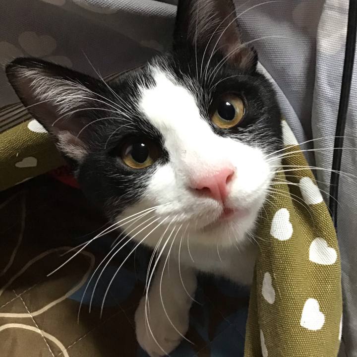 6029cc8b 83e3 4f11 9d34 4d6750ce2508 1634549321263