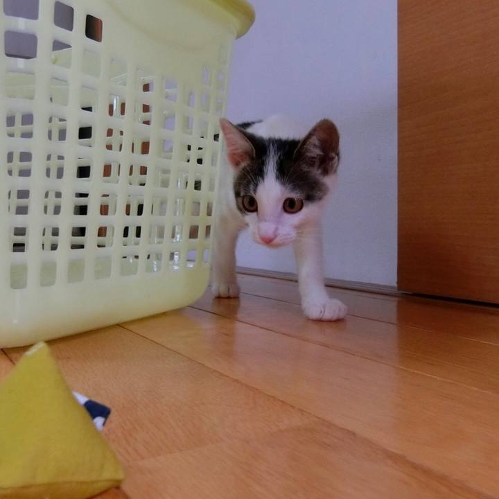 6029d62e 50e7 4c75 bdf2 a4003cbfeef6 1563682647739