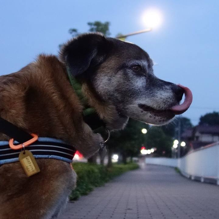 6029e95b ffae 4423 83db fcf2d130cb85 1671326703759