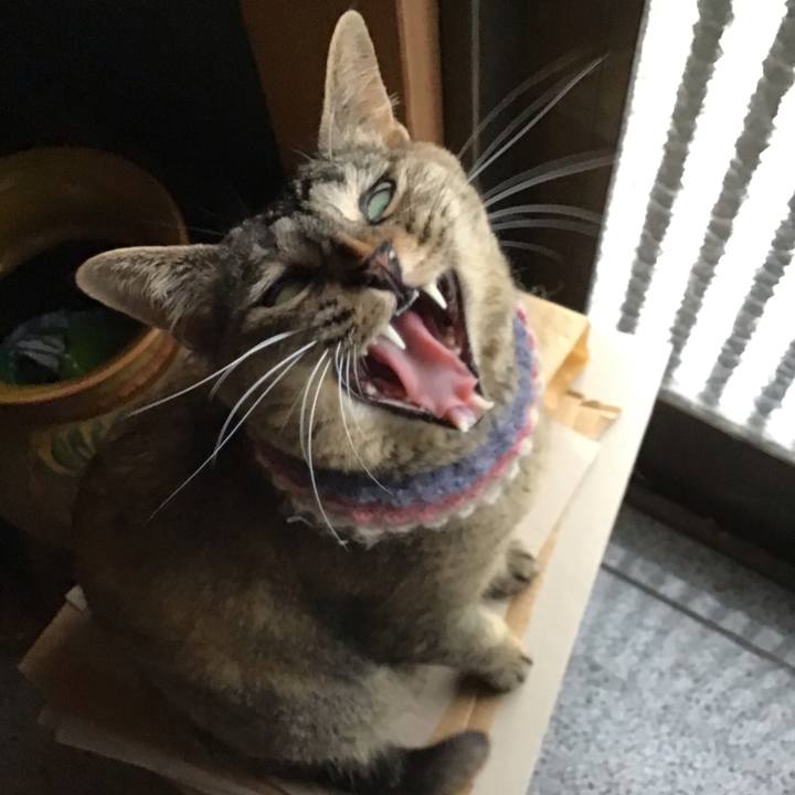 6029ef51 99e8 4a19 9273 ce4d2c15adfb 1625646687640