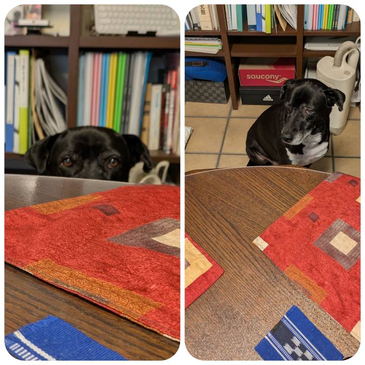 6029f79c 3cc3 4836 9b63 723a47573bda 1736554326924