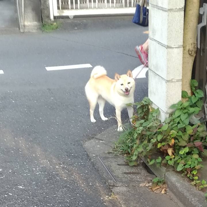 602a5ba9 7ab7 4159 856b 227d5187b73b 1597360722834