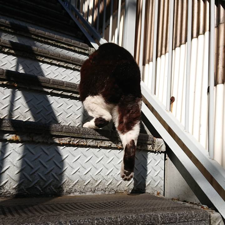 602a8d3b fa8d 4d45 a2d4 0ca31ae08598 1612660258466