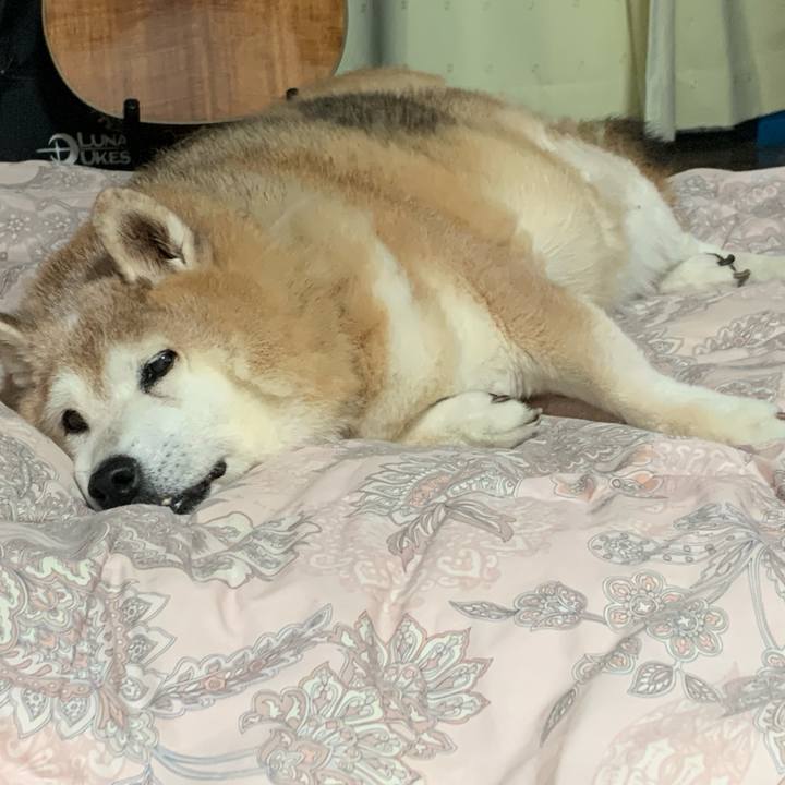 602a9951 e955 47bc b5cf ef5c085b6097 1634476427106