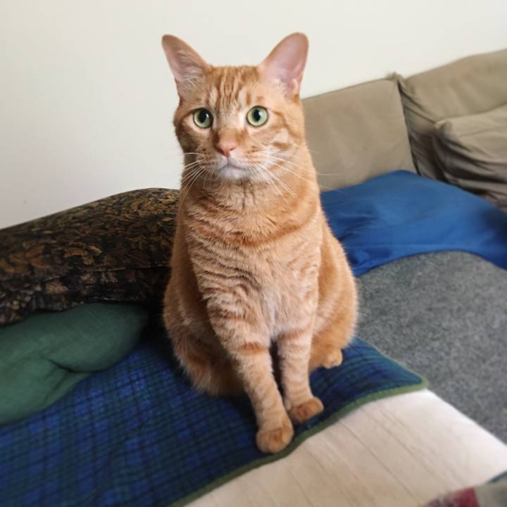 602aa1ac 220e 4789 b82c 8782849afb89 1592180772082