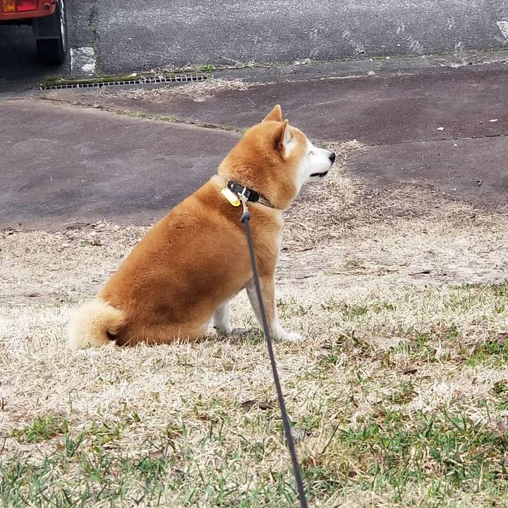 602adf83 2952 4f26 8166 e0d0273570cb 1649908108140