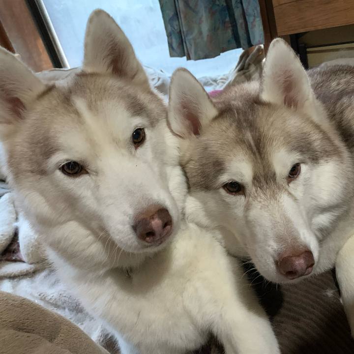 602aeefd c179 43ee b4a9 d289d3bf21b8 1671944198300