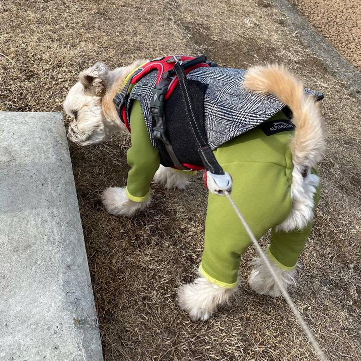 602b07e4 cf32 4d24 9661 7602f4f5c9af 1610457350318