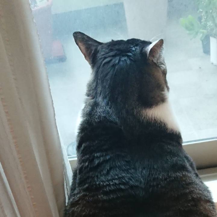 602b2327 3791 4c1f a87e 53b8375554f4 1572302401526