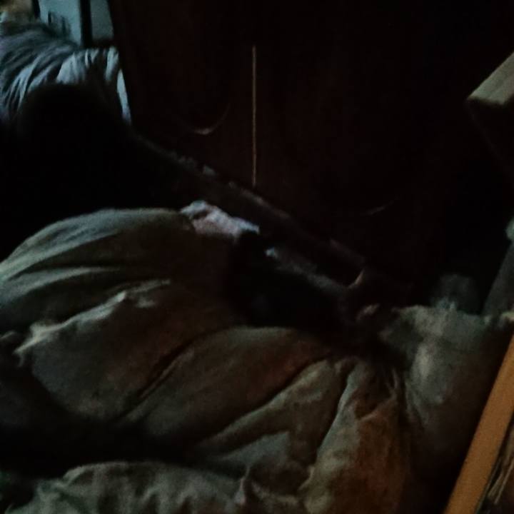 602b4046 fd2e 4be7 b63b f6afe42bd011 1590867468380