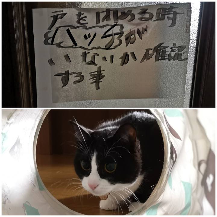 602b594e 5853 4b99 a22f 5e1b11dfaeb8 1573305642394