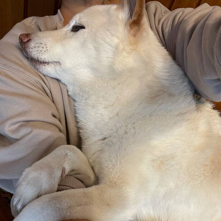 602b81f9 7afc 412f a6db 9340ee10e959 1639232152263