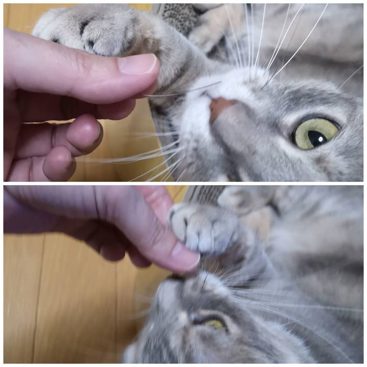 602b9e47 32e1 43c4 a3ae 56cf927cc84b 1584664737624