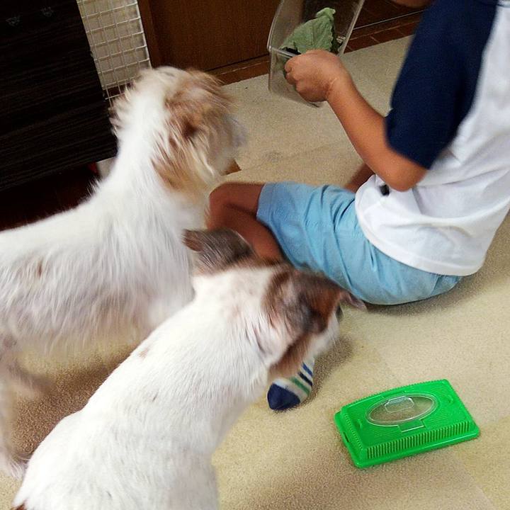 602ba816 f35e 4f41 9854 e9d20ced57e6 1566030987039