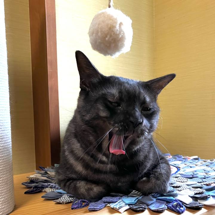 602bb8e8 c406 4f65 b976 b546ae0ef357 1720407910387