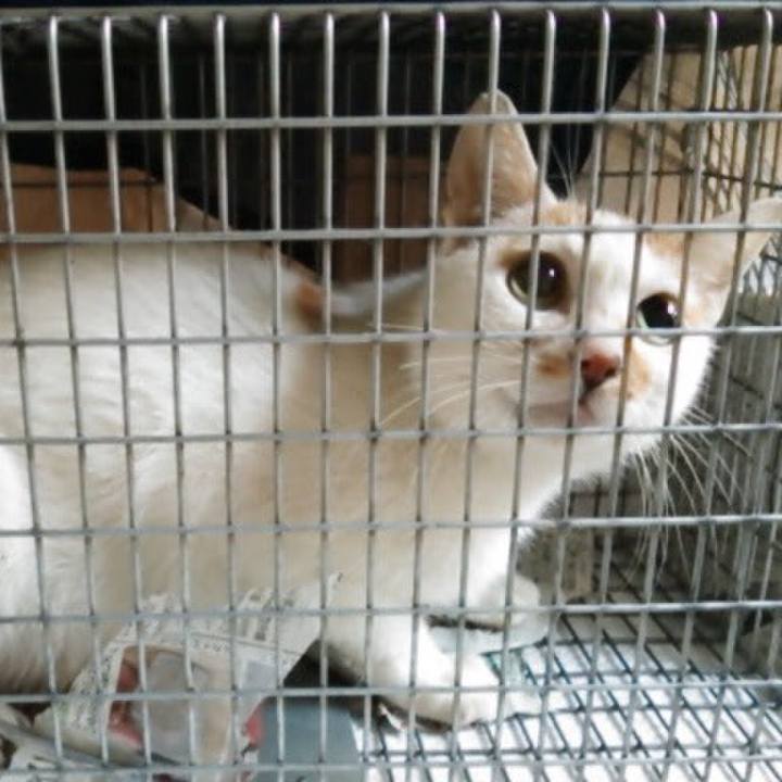 602bdb7a ff83 410e 84c6 84ab238ea287 1577267004629