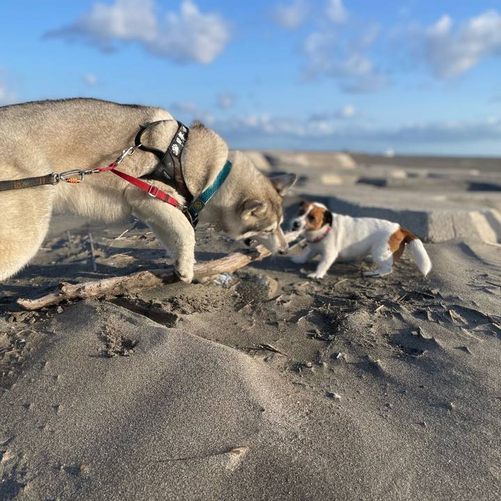 602bf448 ec3b 4924 a8ee 1e2bc1d5afc5 1760657750309